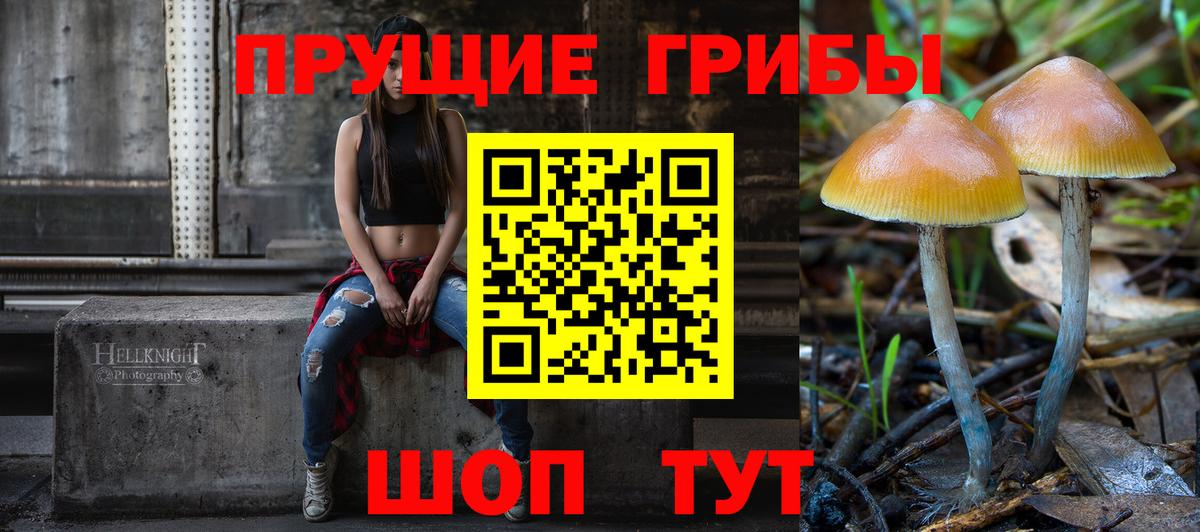 Ачинск  Псилоцибиновые грибы прущие грибы  Вход с VPN 